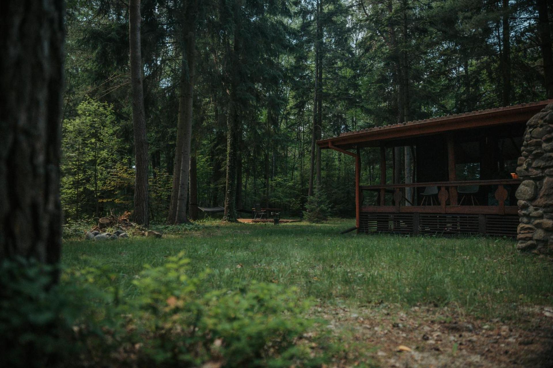 Forest Cabin - 50Min Od Warszawy Wola Polska Extérieur photo