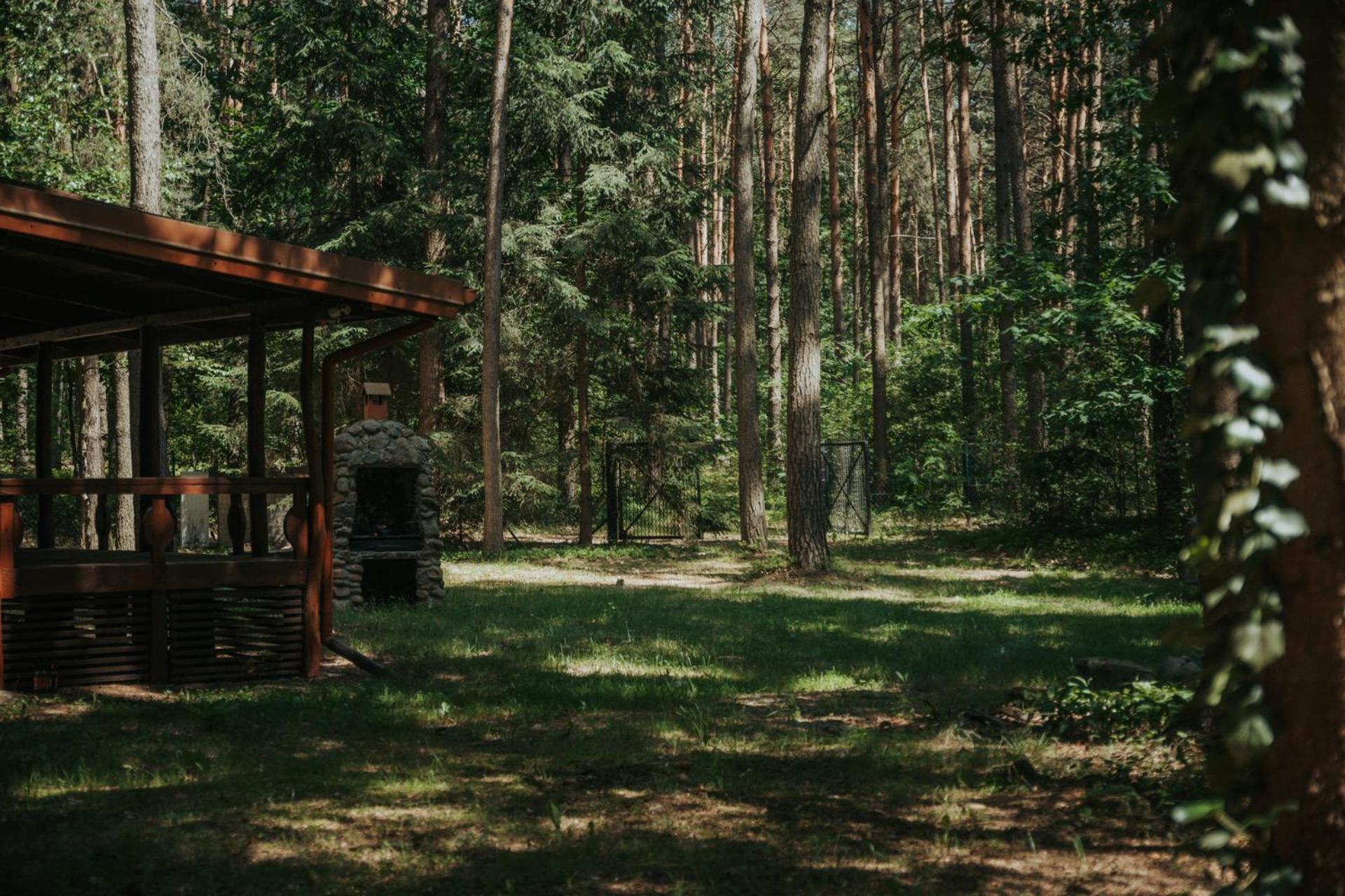 Forest Cabin - 50Min Od Warszawy Wola Polska Extérieur photo