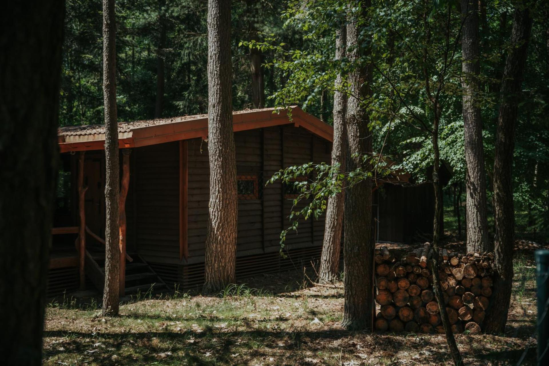 Forest Cabin - 50Min Od Warszawy Wola Polska Extérieur photo