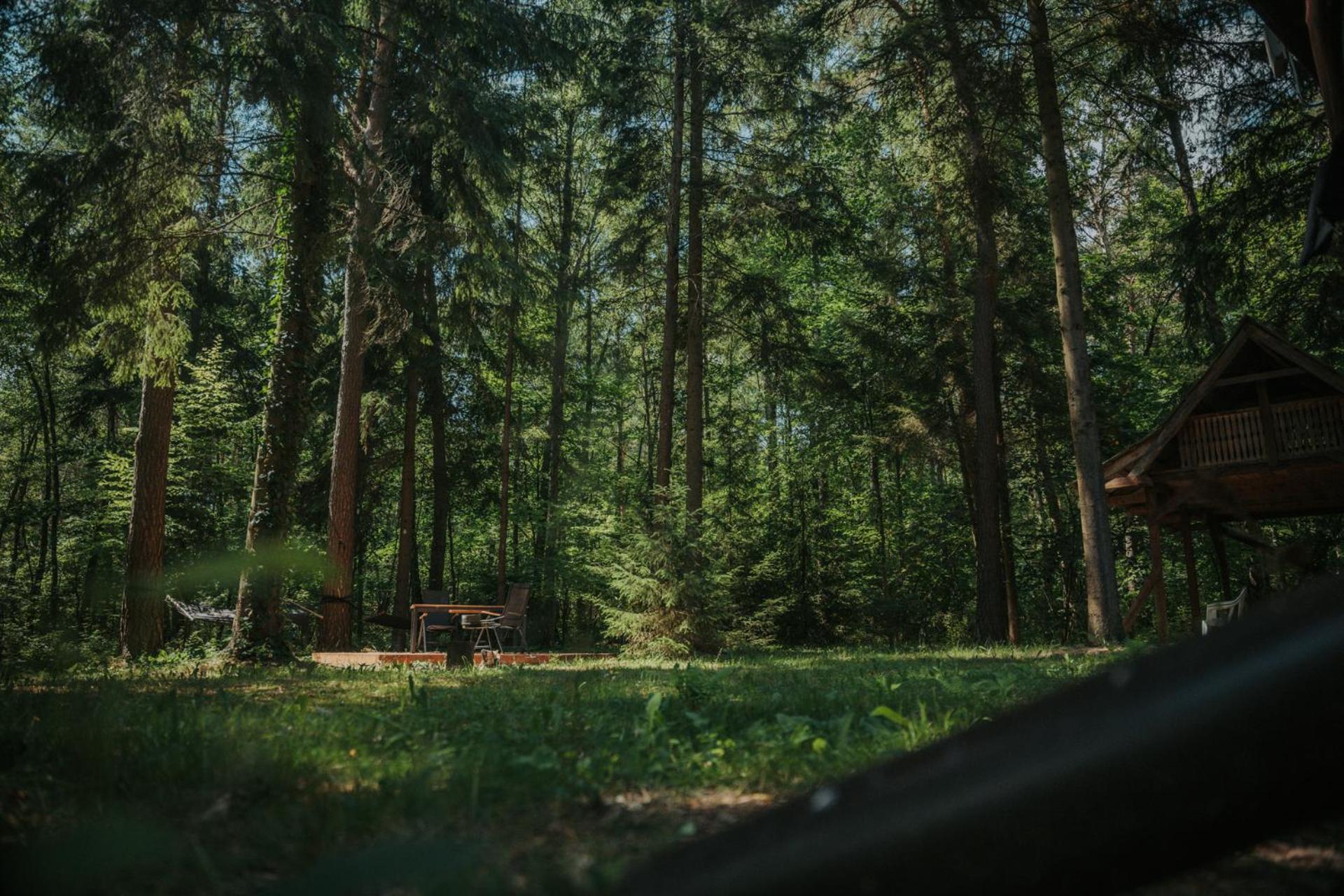 Forest Cabin - 50Min Od Warszawy Wola Polska Extérieur photo
