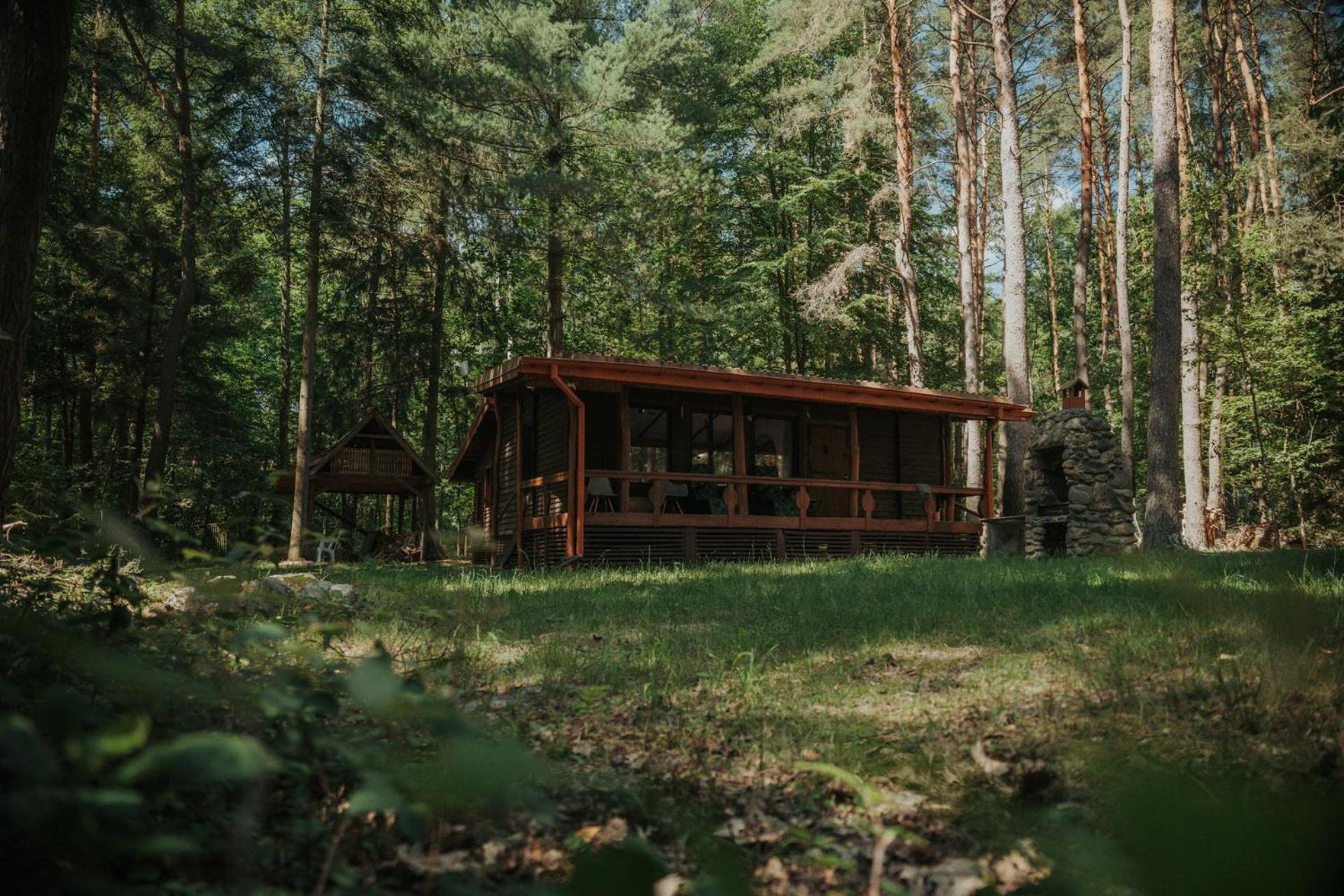 Forest Cabin - 50Min Od Warszawy Wola Polska Extérieur photo