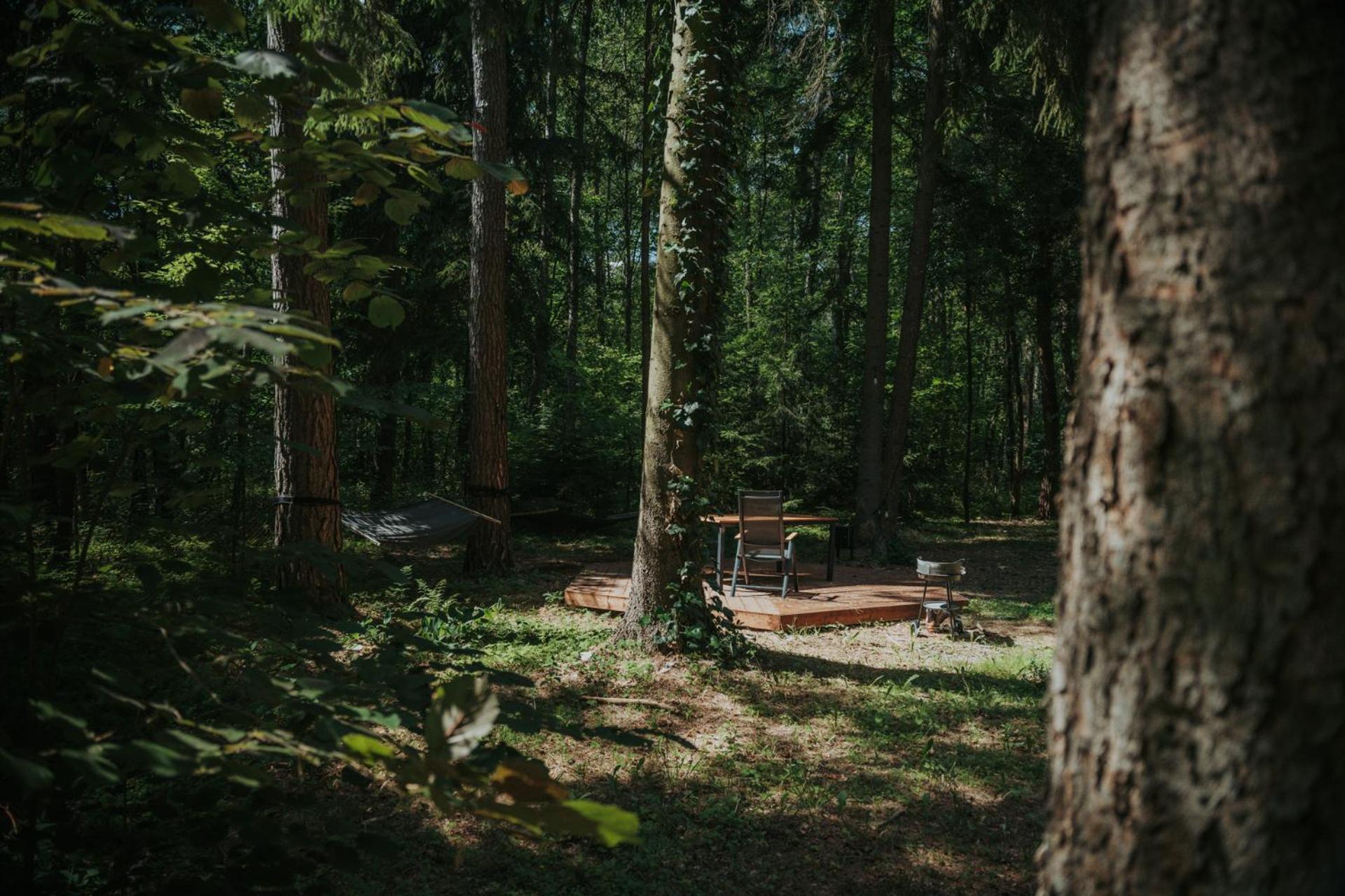 Forest Cabin - 50Min Od Warszawy Wola Polska Extérieur photo