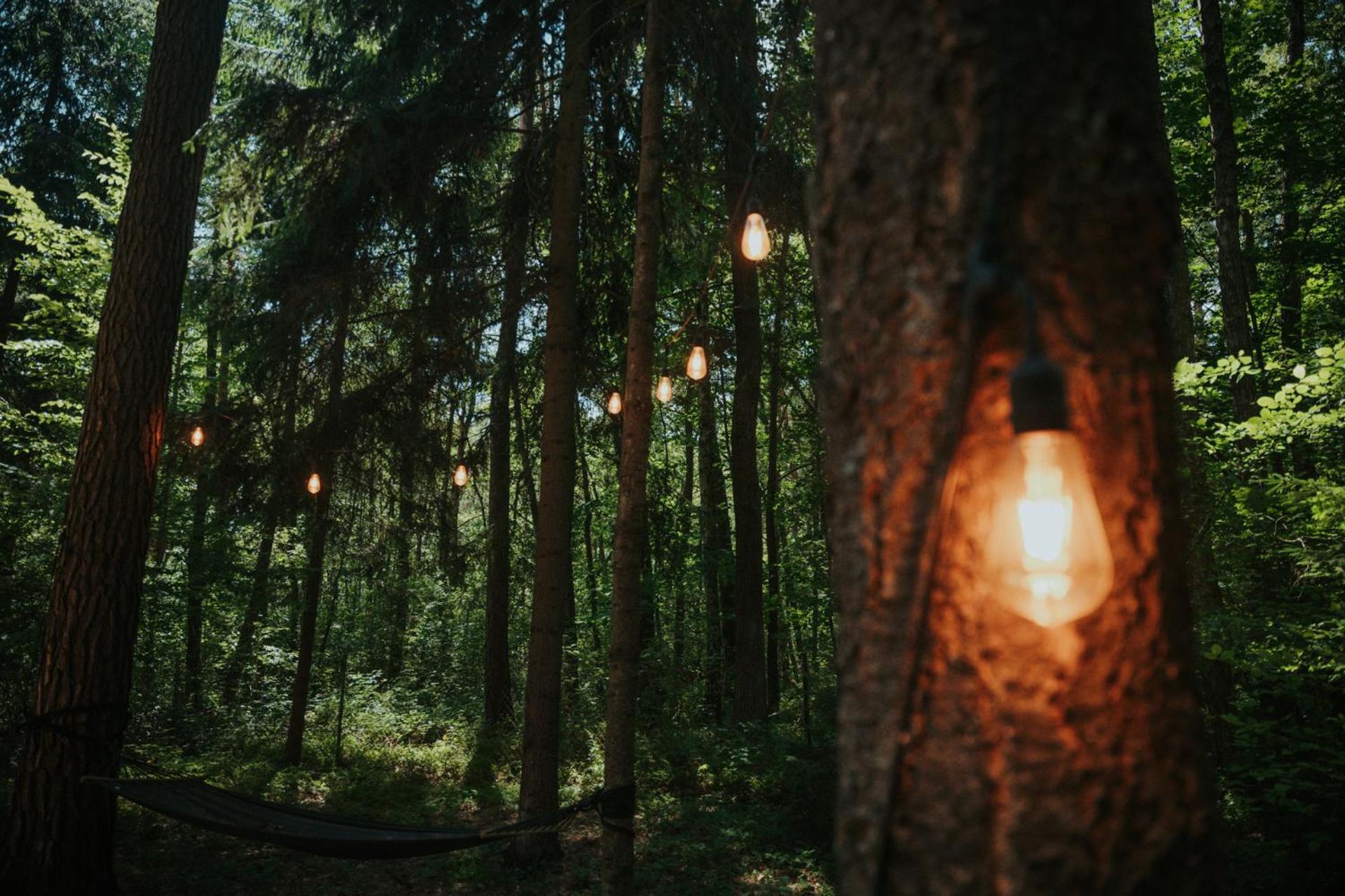 Forest Cabin - 50Min Od Warszawy Wola Polska Extérieur photo