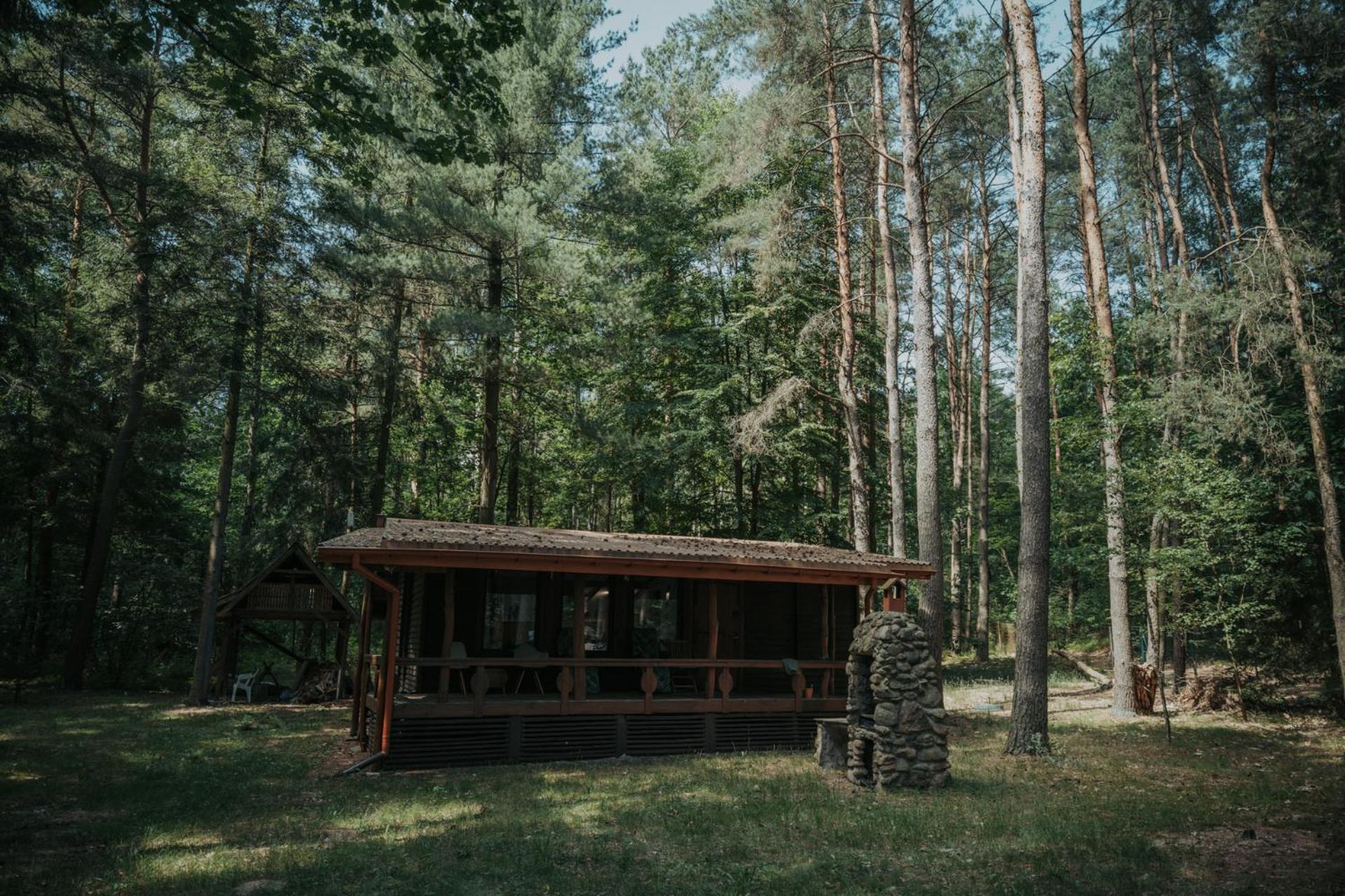 Forest Cabin - 50Min Od Warszawy Wola Polska Extérieur photo