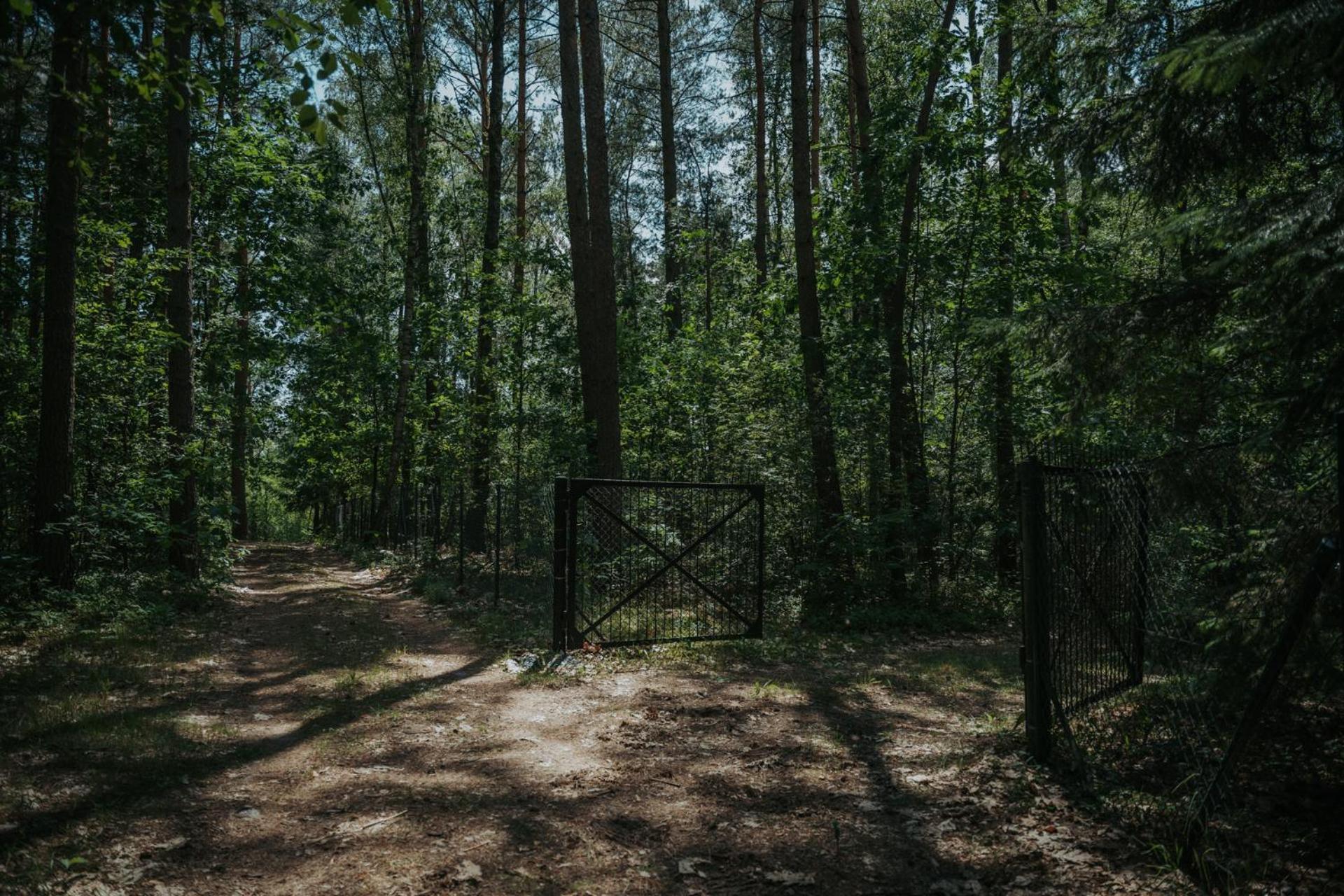 Forest Cabin - 50Min Od Warszawy Wola Polska Extérieur photo